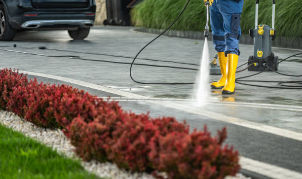 Best Building Exterior Pressure Washing in Moenkopi, AZ